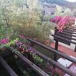 Oasiglo * لا ماداّلينا