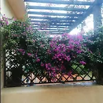 Oasiglo