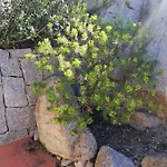 Oasiglo شقة لا ماداّلينا