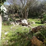 Oasiglo