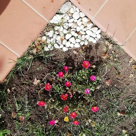 Apartament Oasiglo La Maddalena (Sassari)