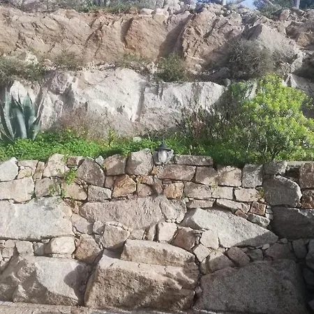 Oasiglo