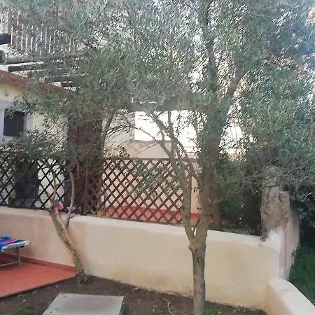 Oasiglo Apartment *