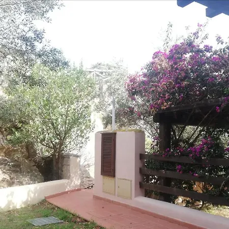 Oasiglo Apartment
