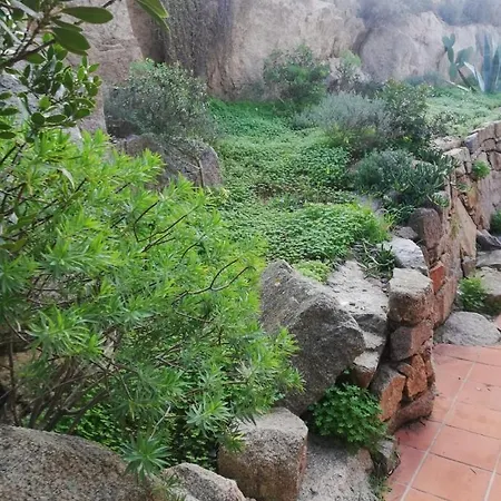 Oasiglo Apartmán
