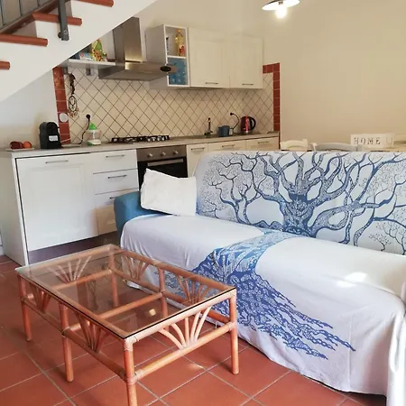Oasiglo Apartment
